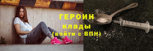 индика Богородицк