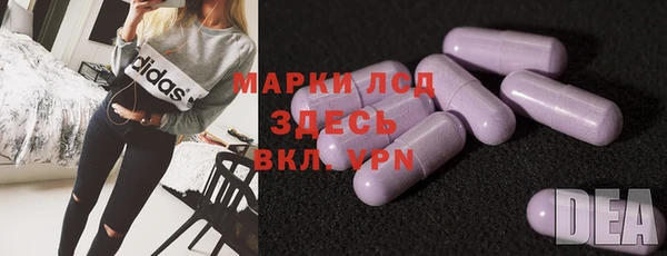 индика Богородицк