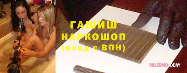 индика Богородицк