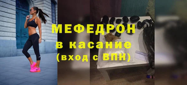 индика Богородицк
