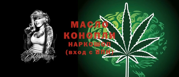 индика Богородицк