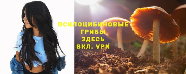 гидра Богданович