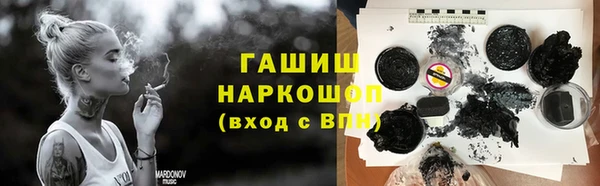 гидра Богданович