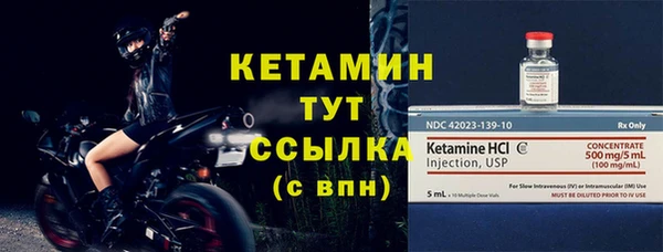 индика Богородицк