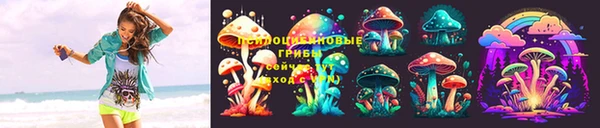 гидра Богданович