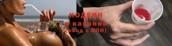 гидра Богданович