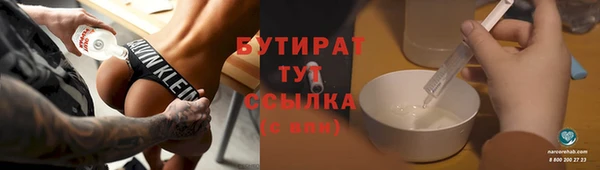 индика Богородицк