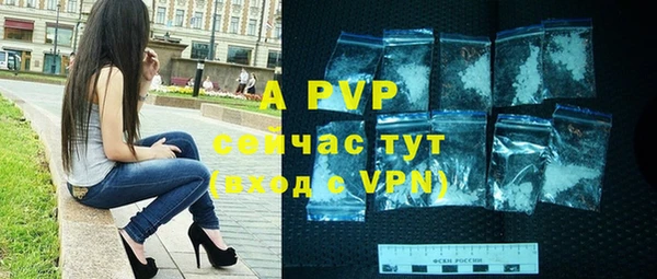 гидра Богданович