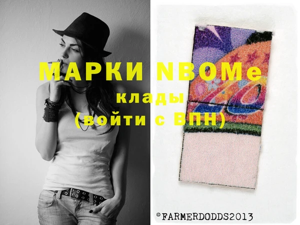 индика Богородицк