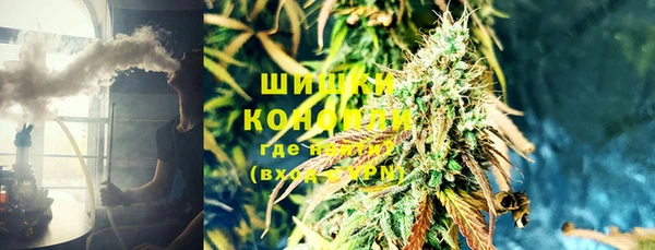 гидра Богданович