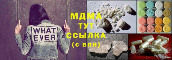 индика Богородицк