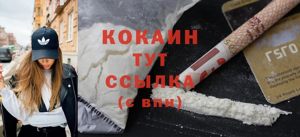 гидра Богданович