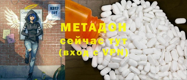 индика Богородицк