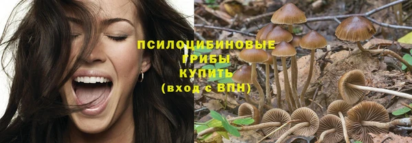 индика Богородицк