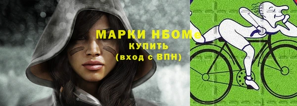 индика Богородицк