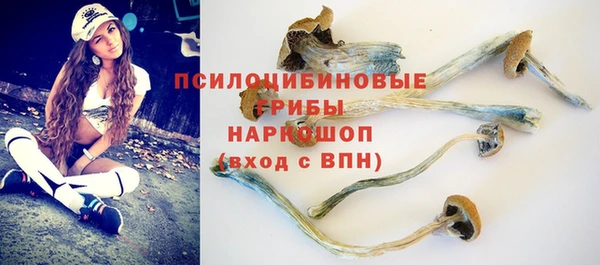 индика Богородицк