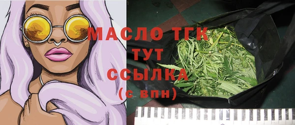 гидра Богданович