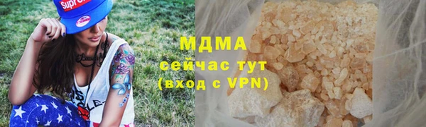 гидра Богданович