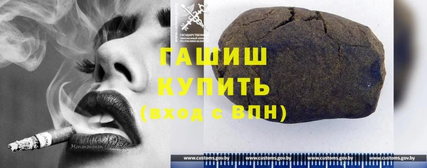 индика Богородицк