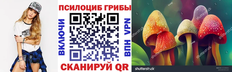 Галлюциногенные грибы мухоморы  что такое   блэк спрут как войти  Ворсма 